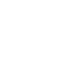 Icon Plattenservice