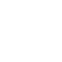 Icon Stern